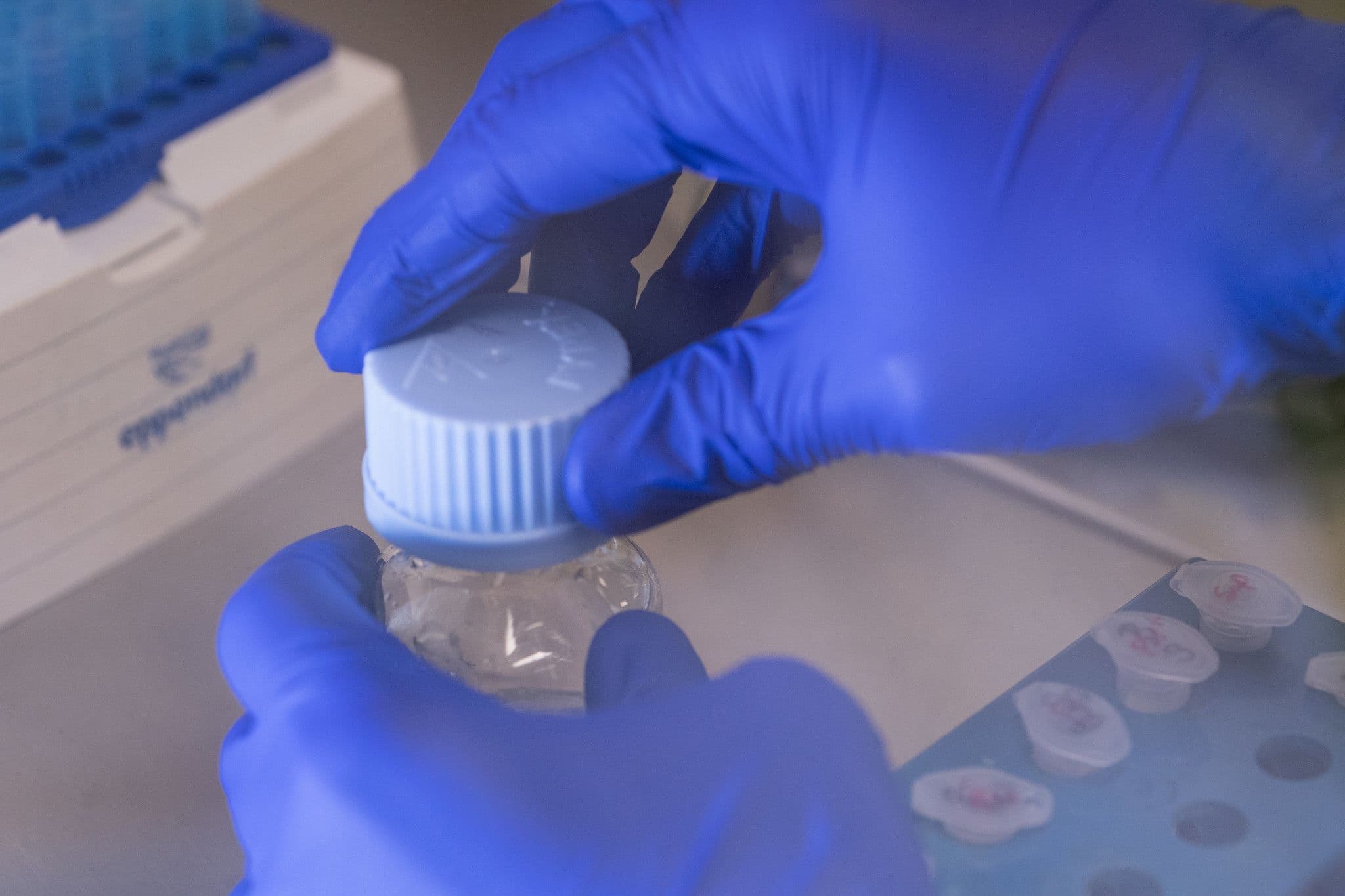 M_GMC_Biochemija_II.jpg.jpg