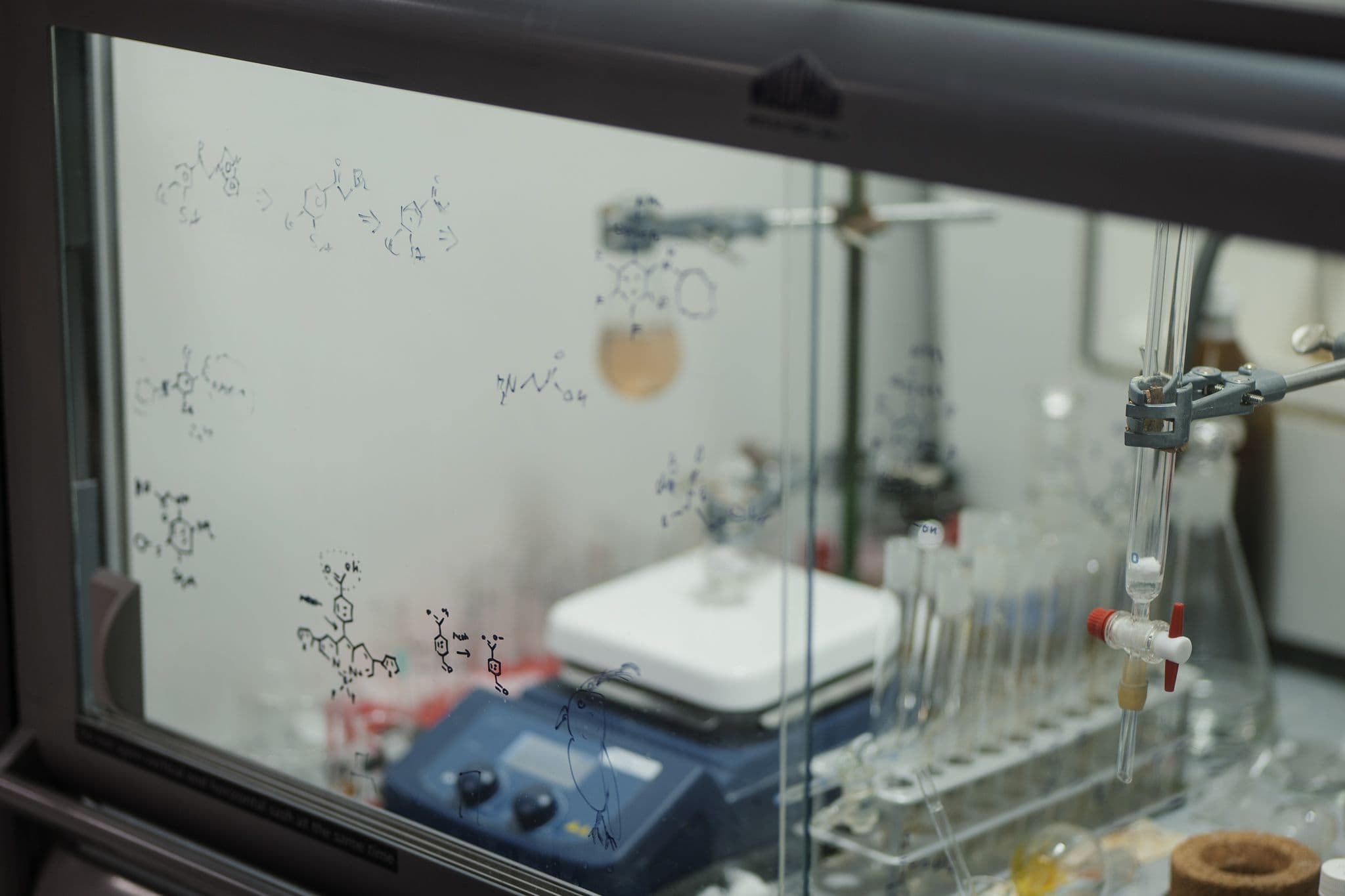 M_GMC_Biofizika.jpg