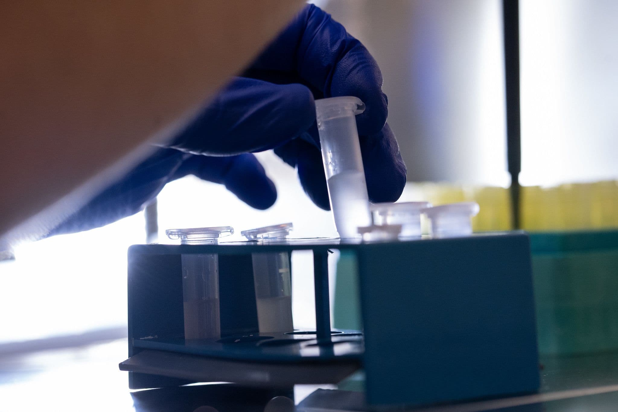 M_GMC_Molekulinė_biologija_II.jpg
