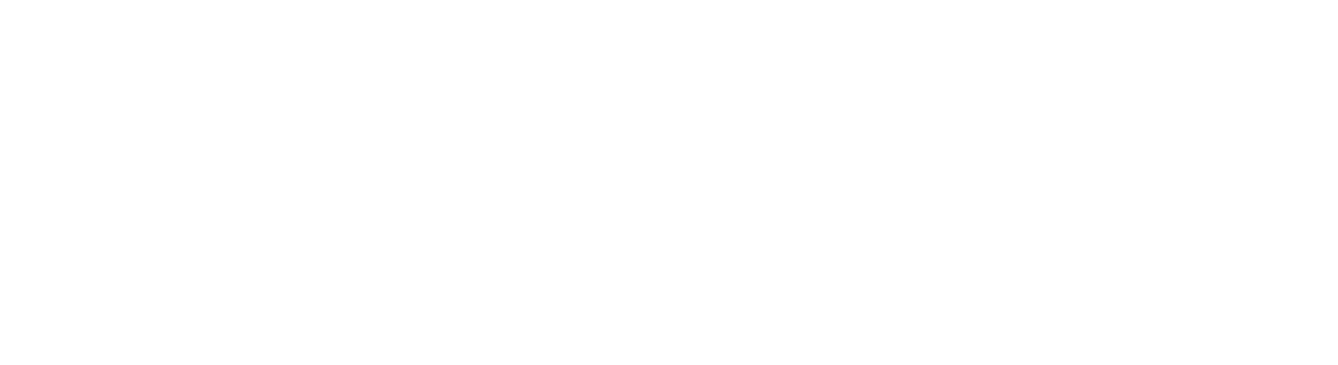 VUEVAFlogo_lt_baltas.png